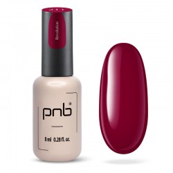 Гел лак PNB 8 мл 211
